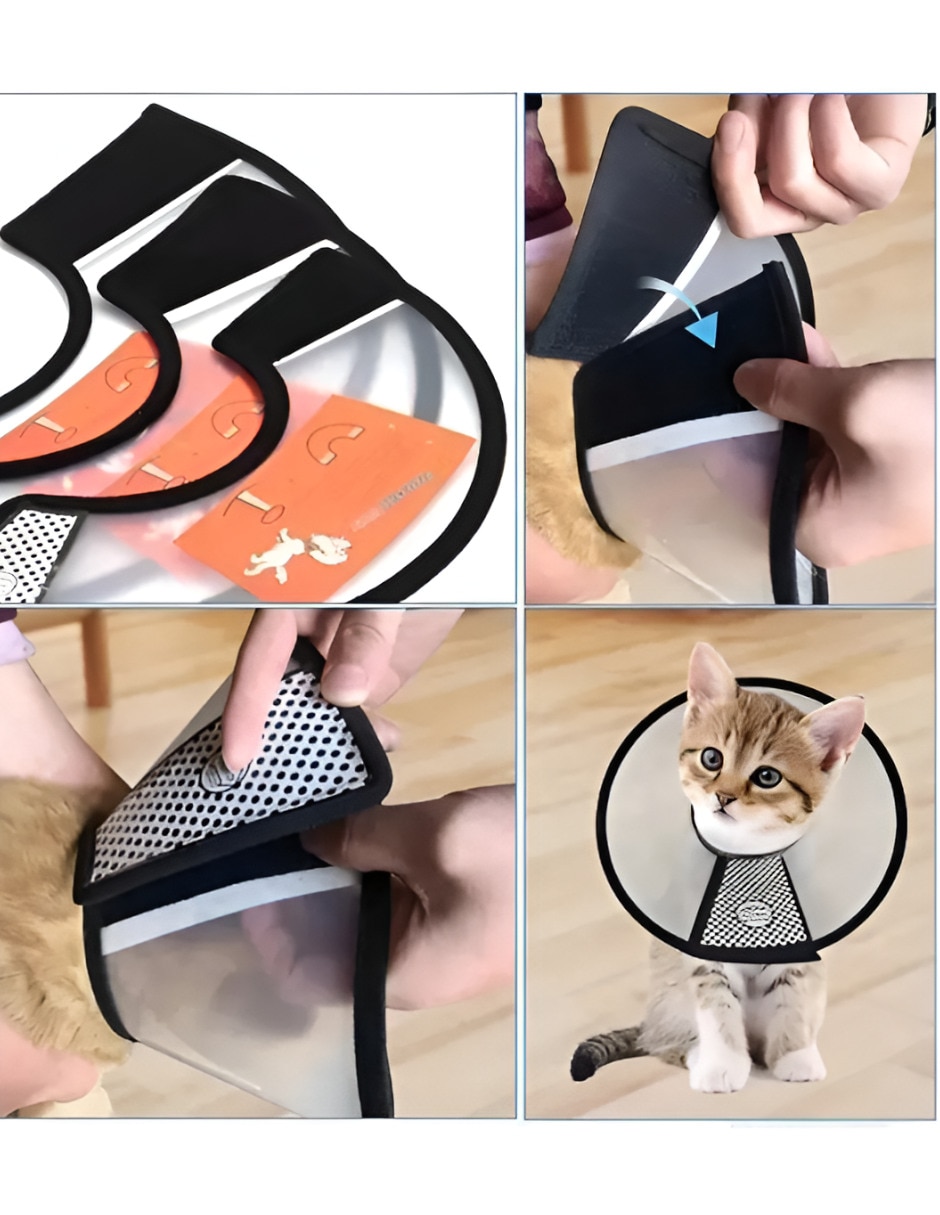 Collar isabelino de plástico para perro y gato 2