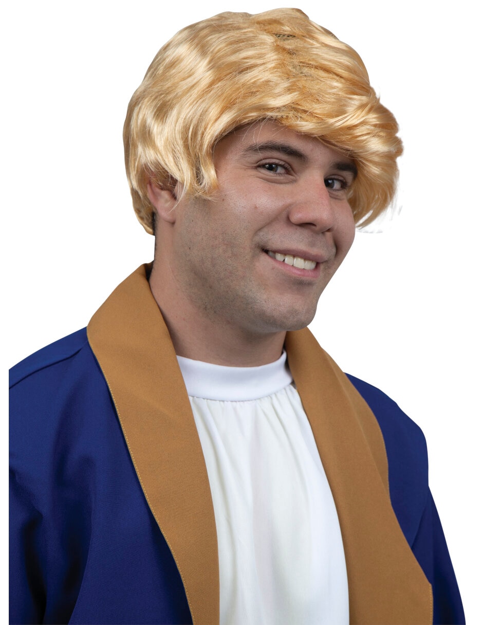 Peluca para disfraz de el principito pelucas deluxe 2