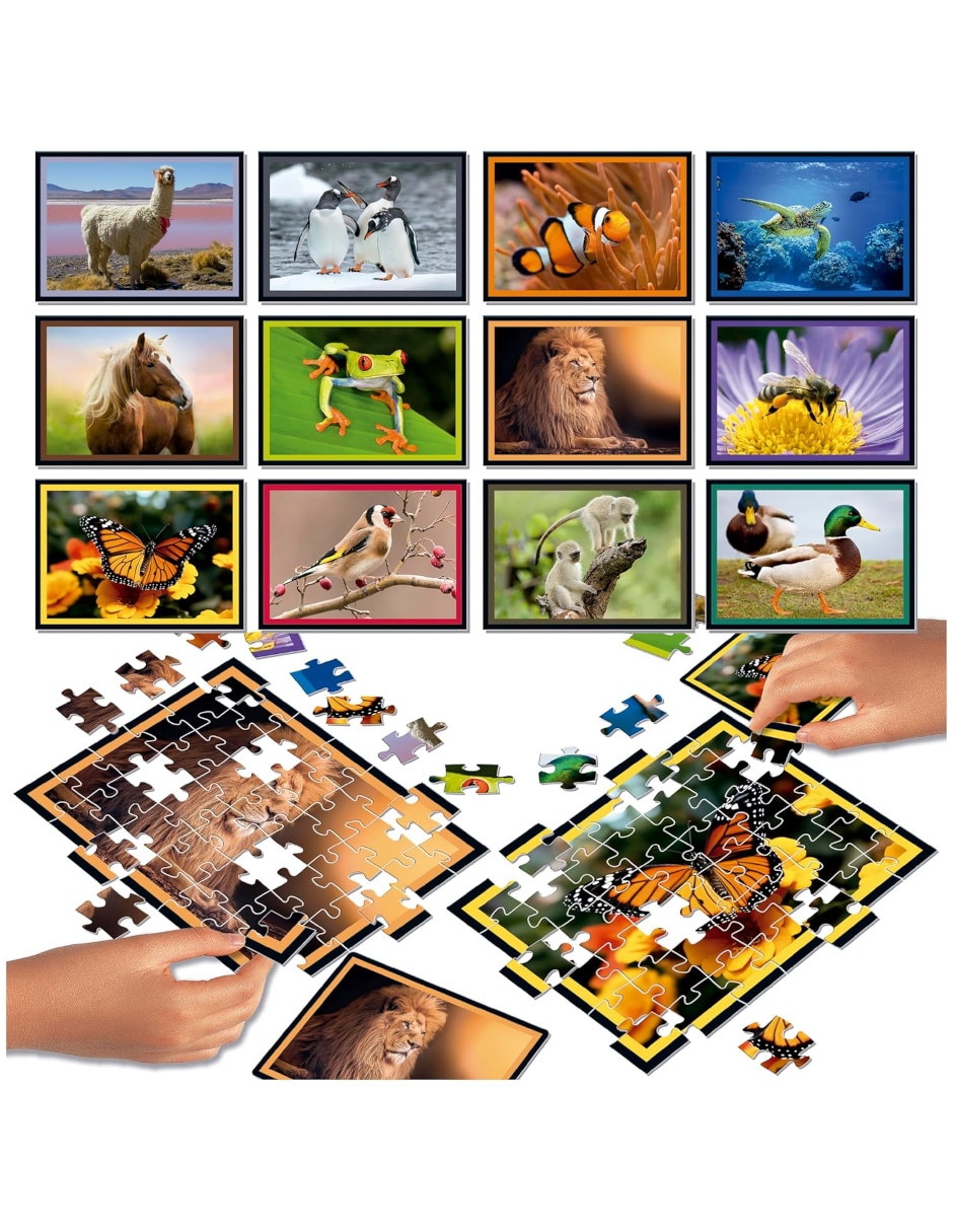 Rompecabezas animales puzzle battle natura educa 504 piezas