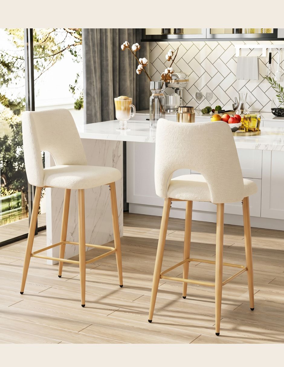 Juego de sillas 2 piezas Gomyhome