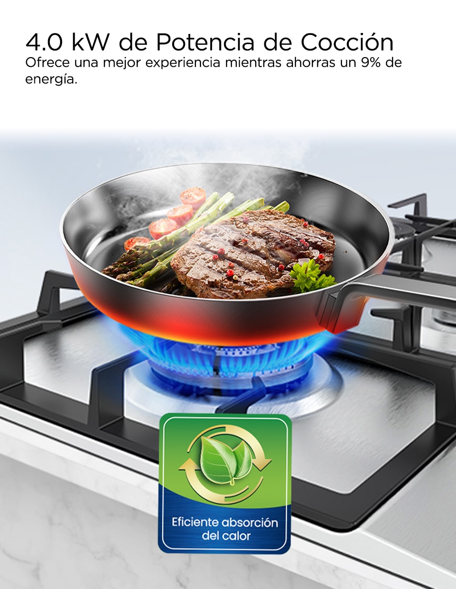 Parrilla a Gas LP empotrable 2