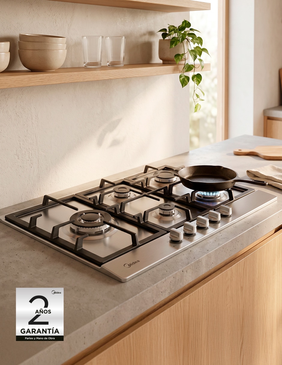 Parrilla a Gas LP empotrable 10