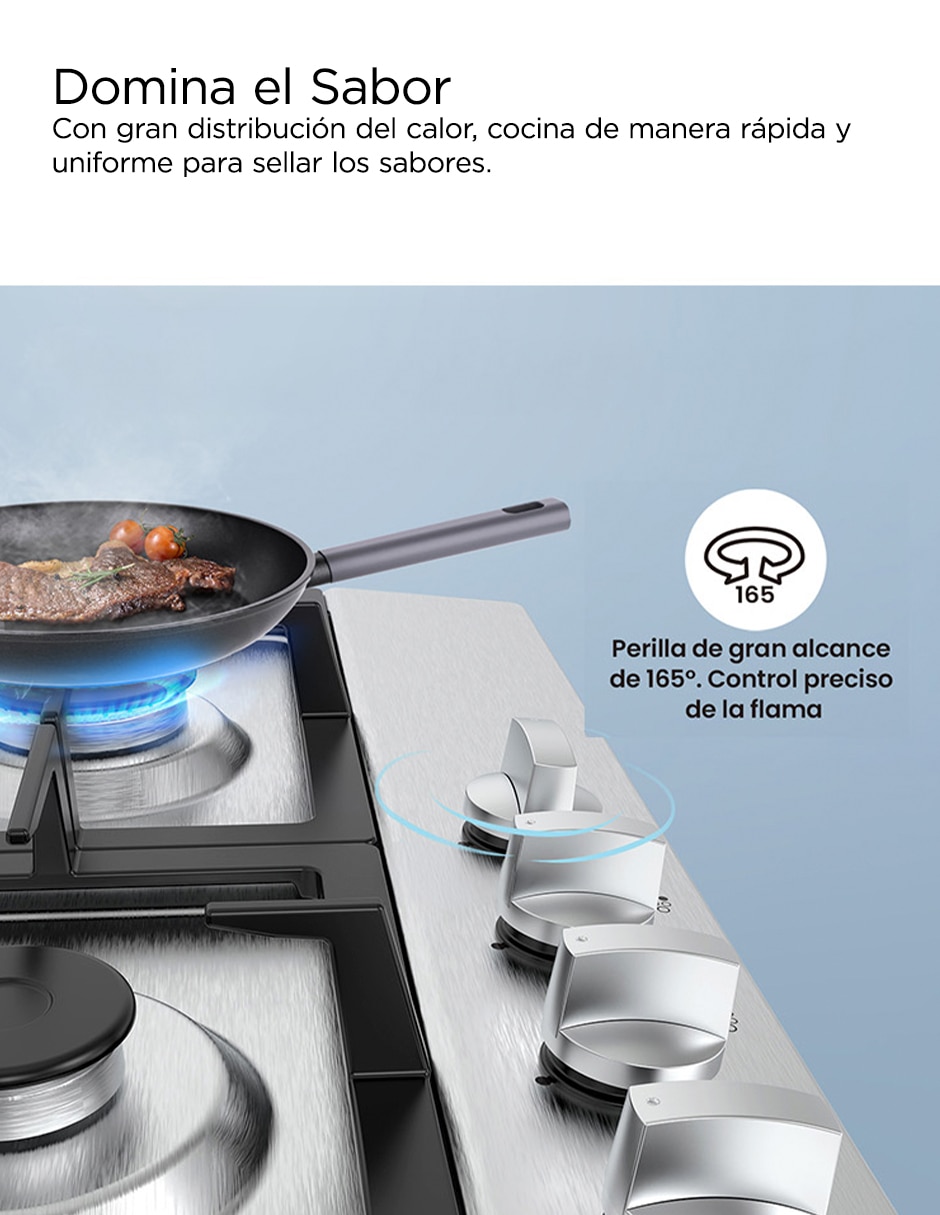 Parrilla a Gas LP empotrable 4