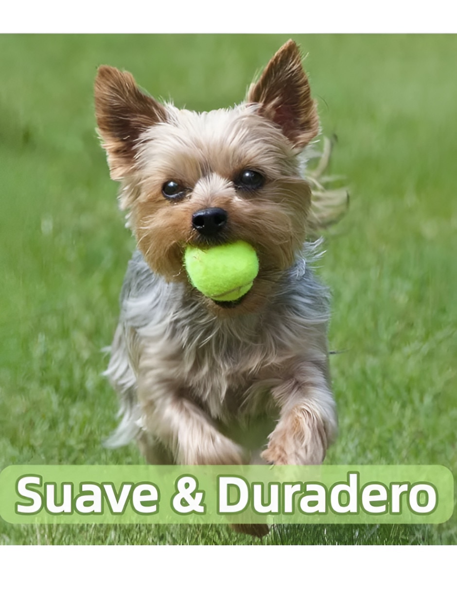Set de pelotas para tennis 3