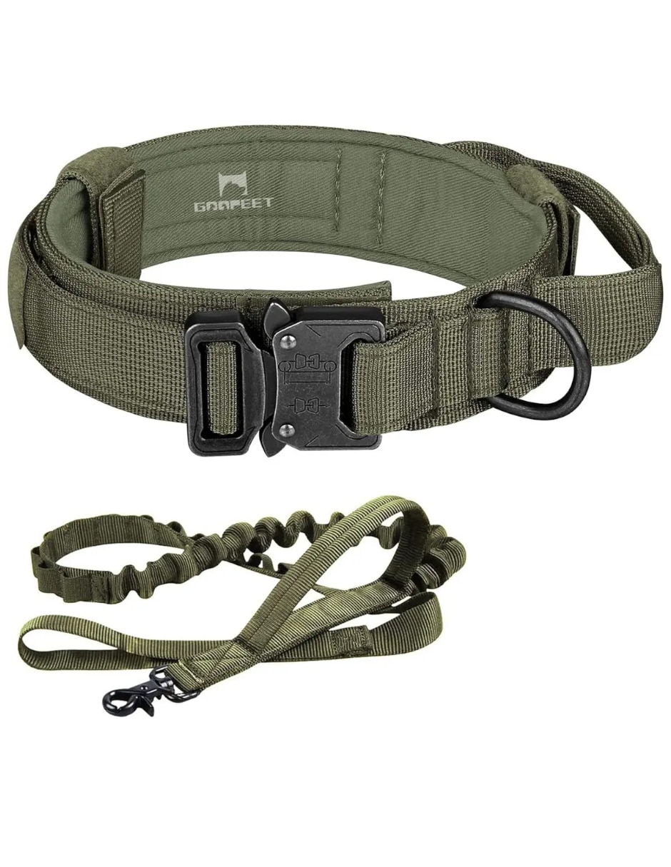 Correa y collar para perro