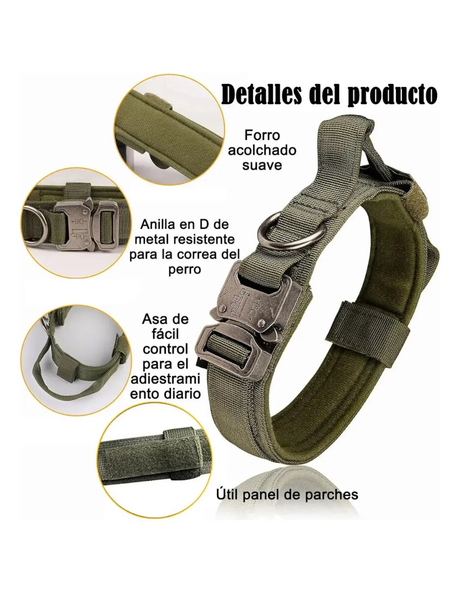 Correa y collar para perro