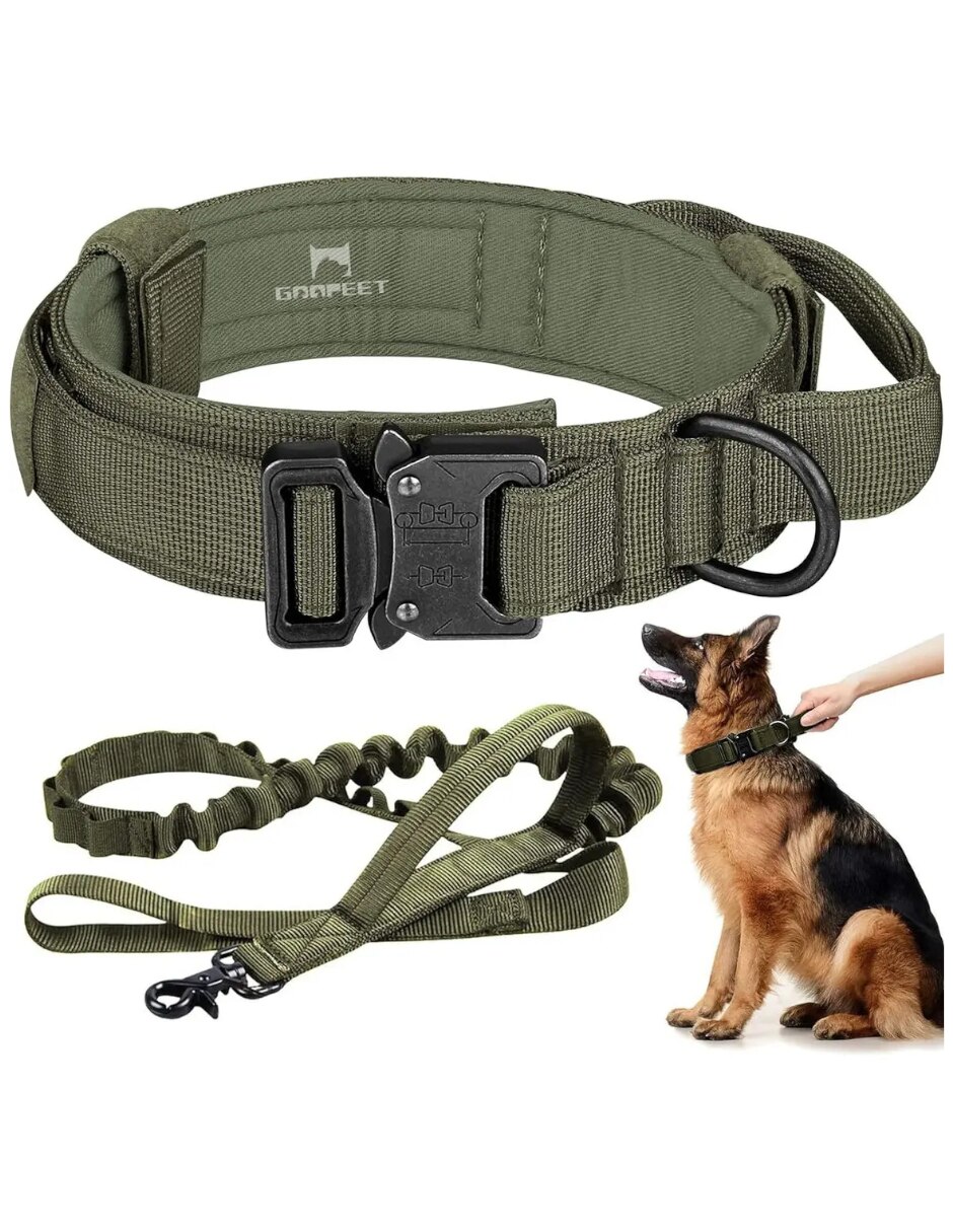 Correa y collar para perro