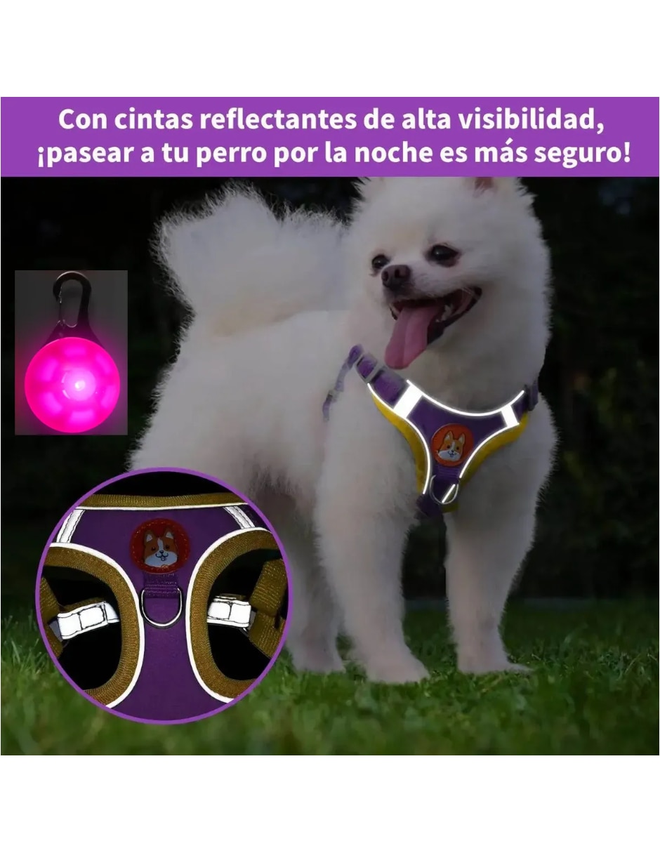 Arnés y correa para Perro