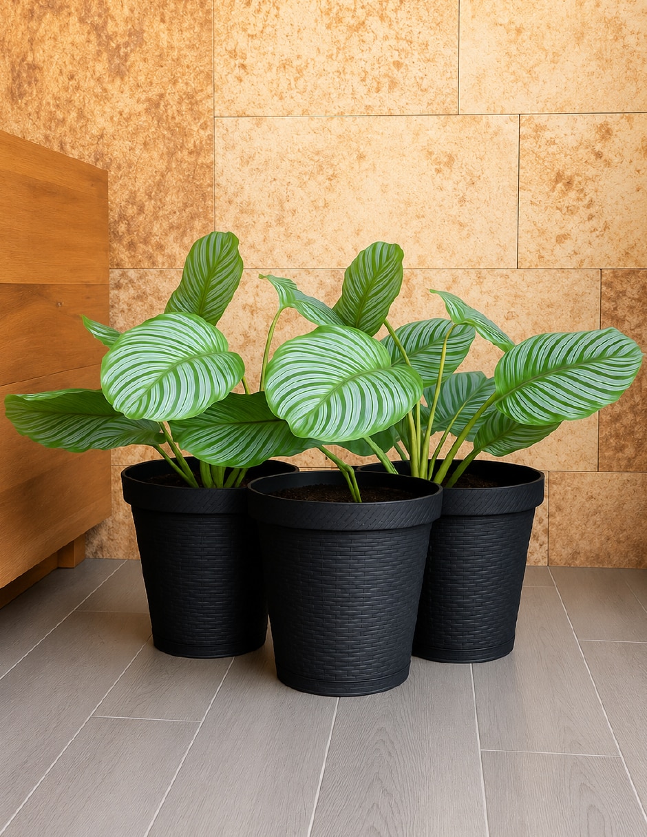 Set maceta de plástico con sistema automático de riego 2