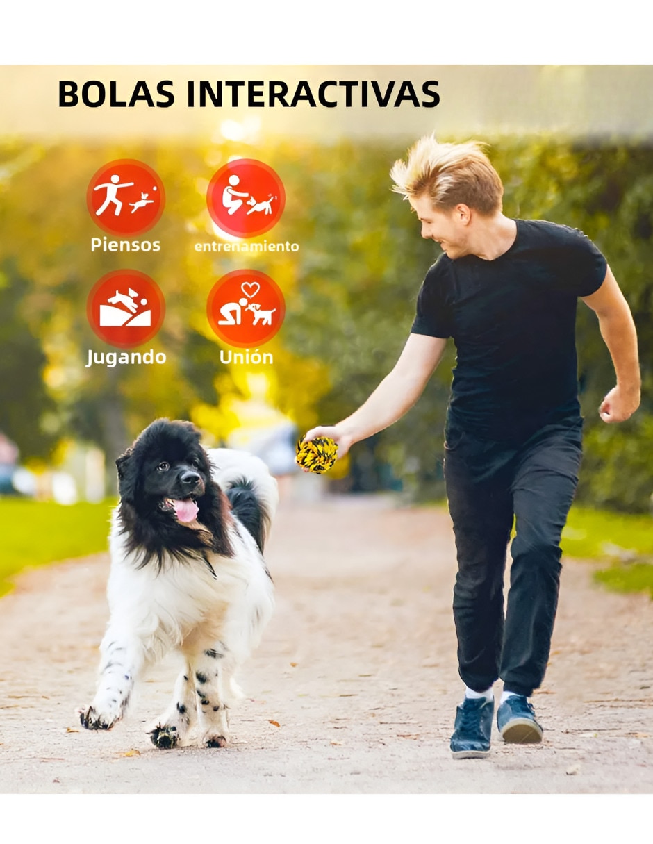 Pelota de playa 3