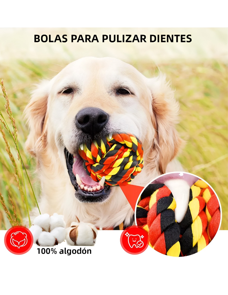 Pelota de playa 2