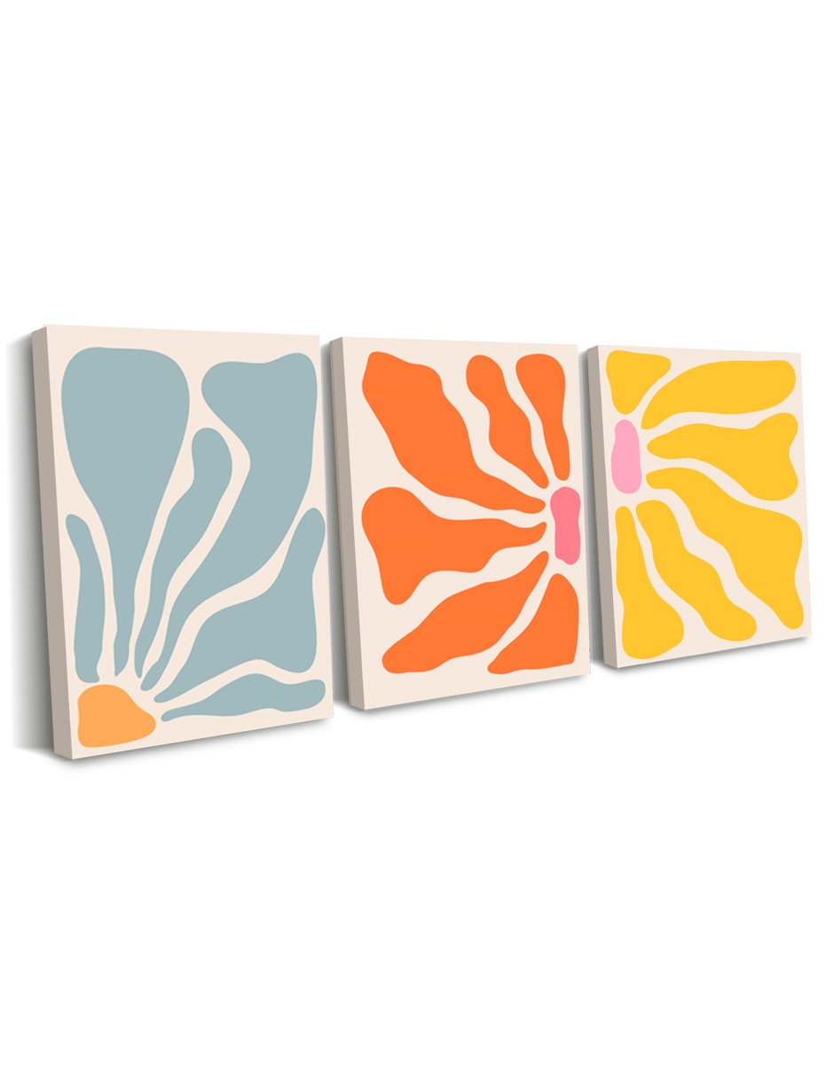 Cuadro decorativo canvas art mx 5
