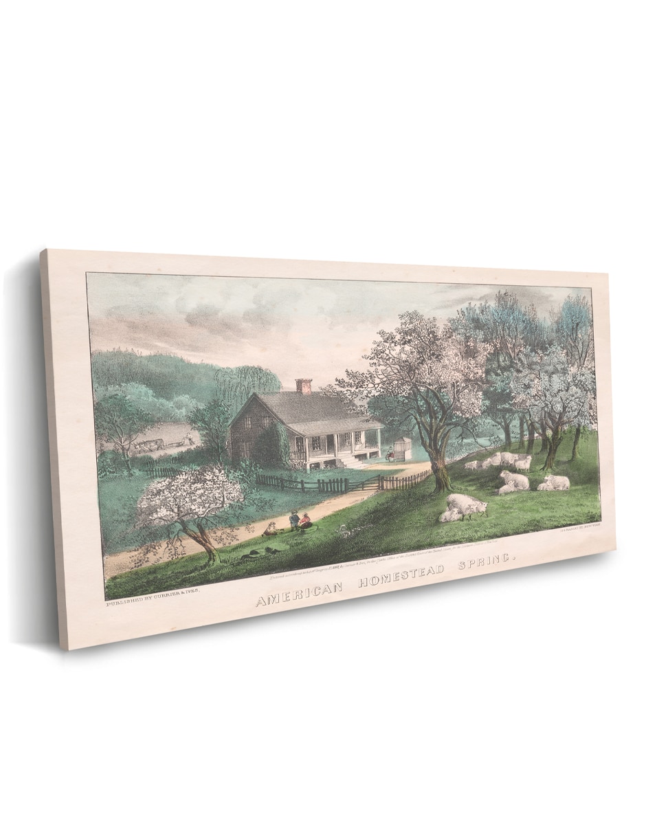 Cuadro decorativo canvas art mx 5