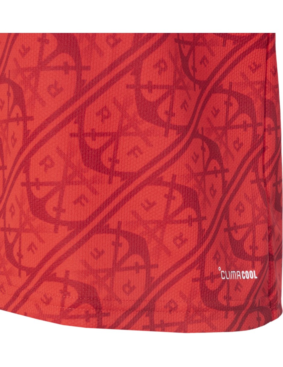 Jersey de Flamengo para hombre 5