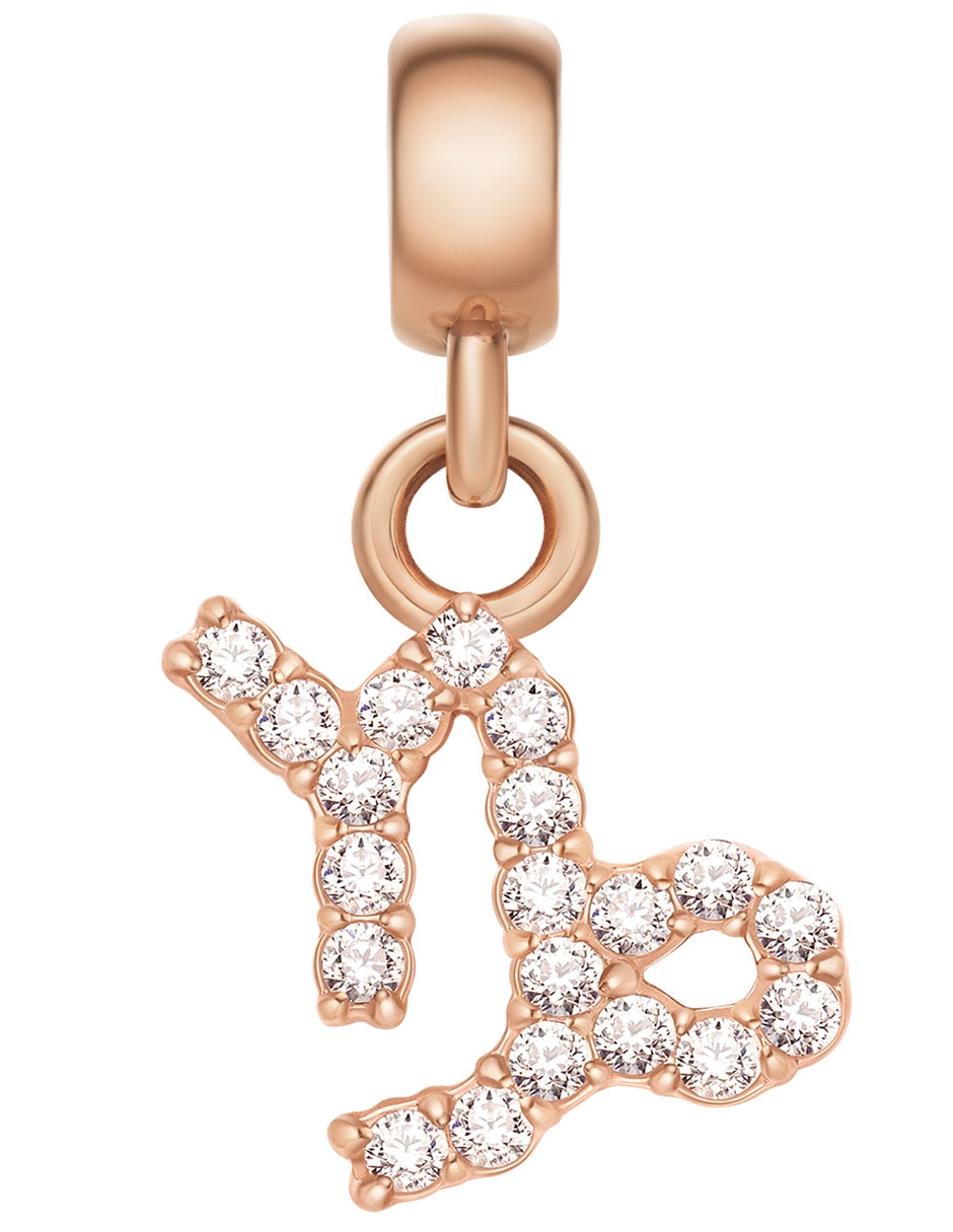 Charm para collares 1