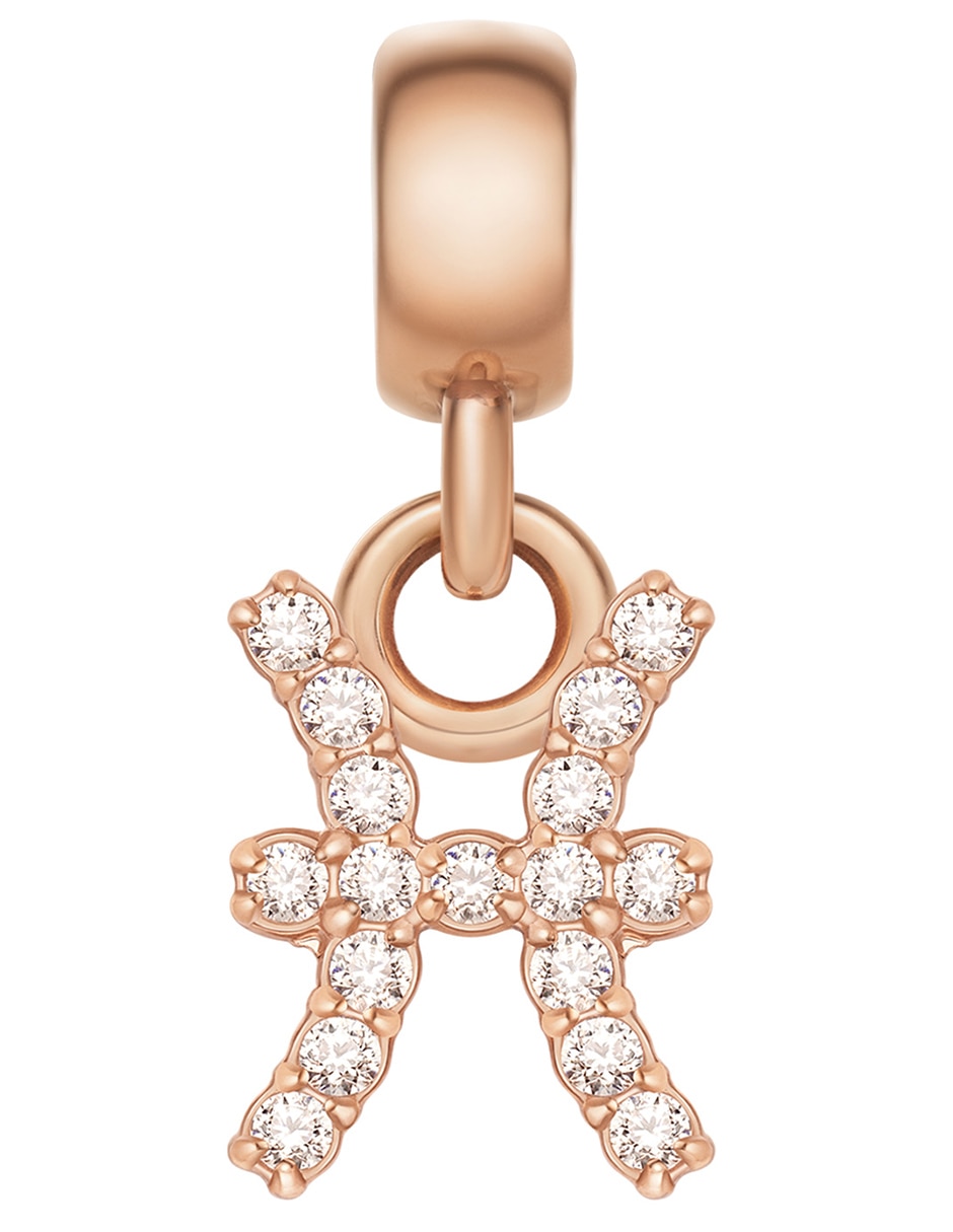 Charm para collares 1