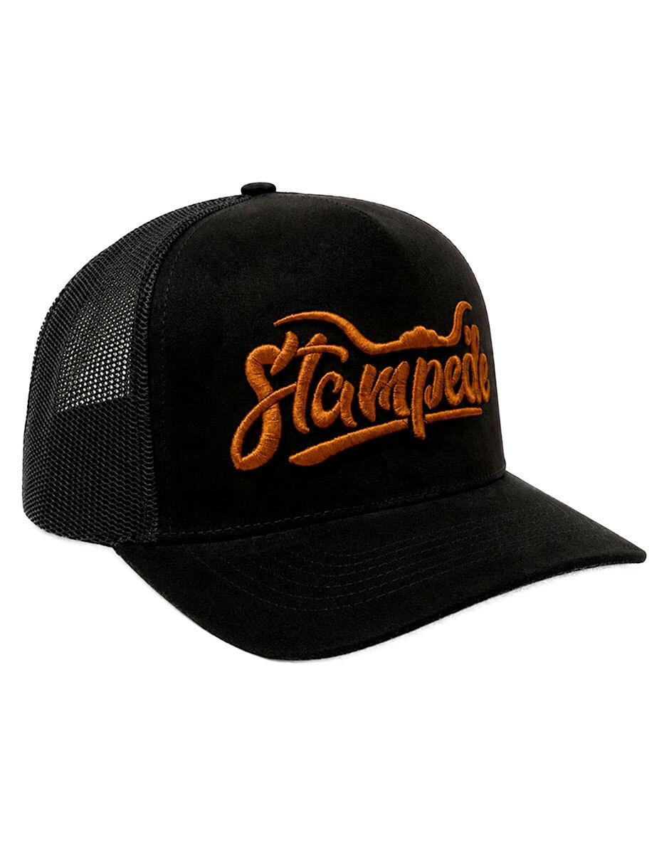 Gorra visera curva snapback casual para hombre