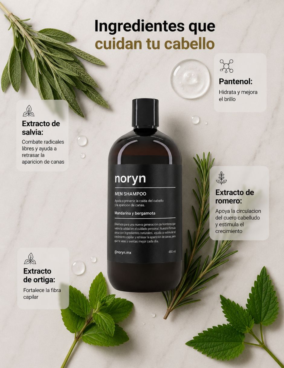 Shampoo para cabello normal para hombre Noryn 3