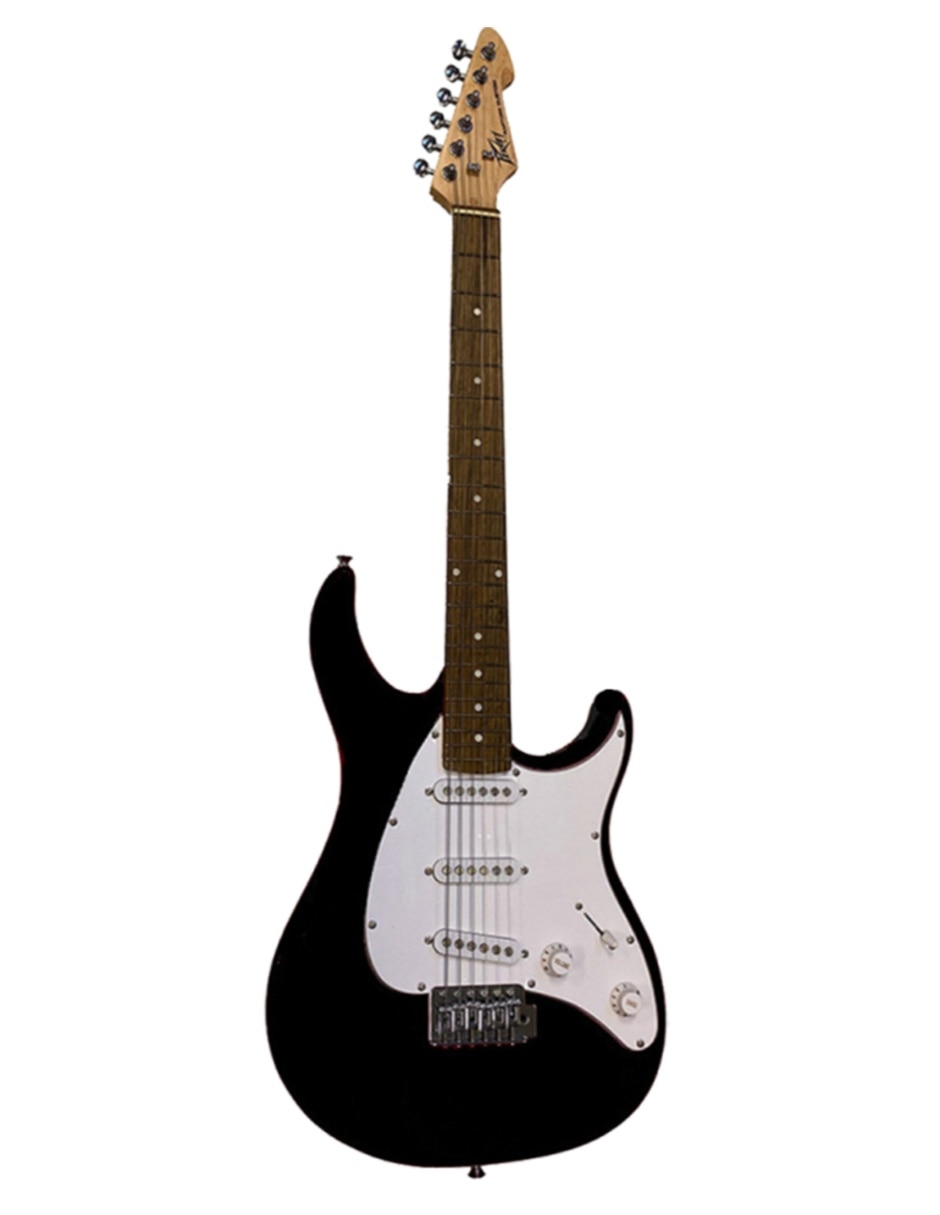 Guitarra Eléctrica Raptor Plus Sss Black