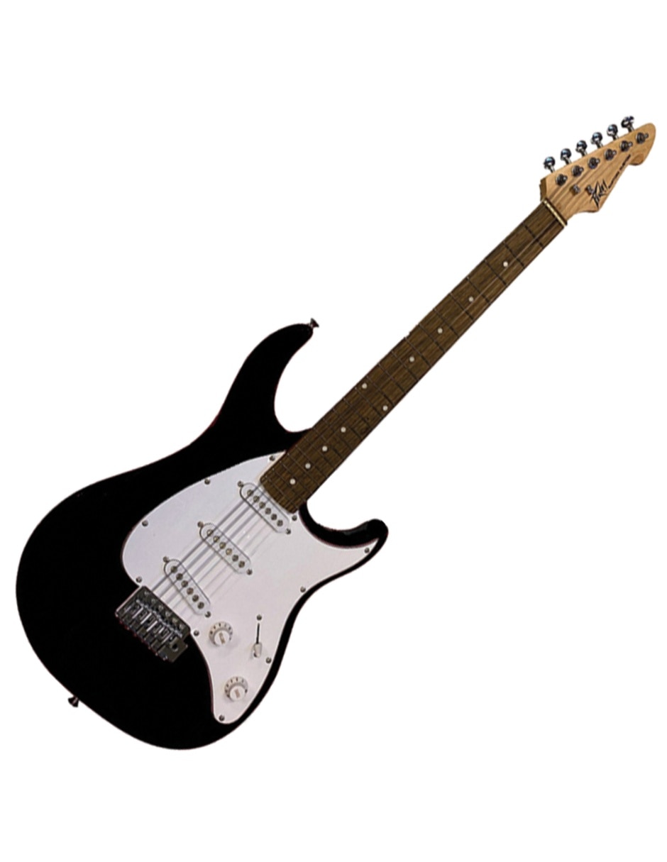 Guitarra Eléctrica Raptor Plus Sss Black