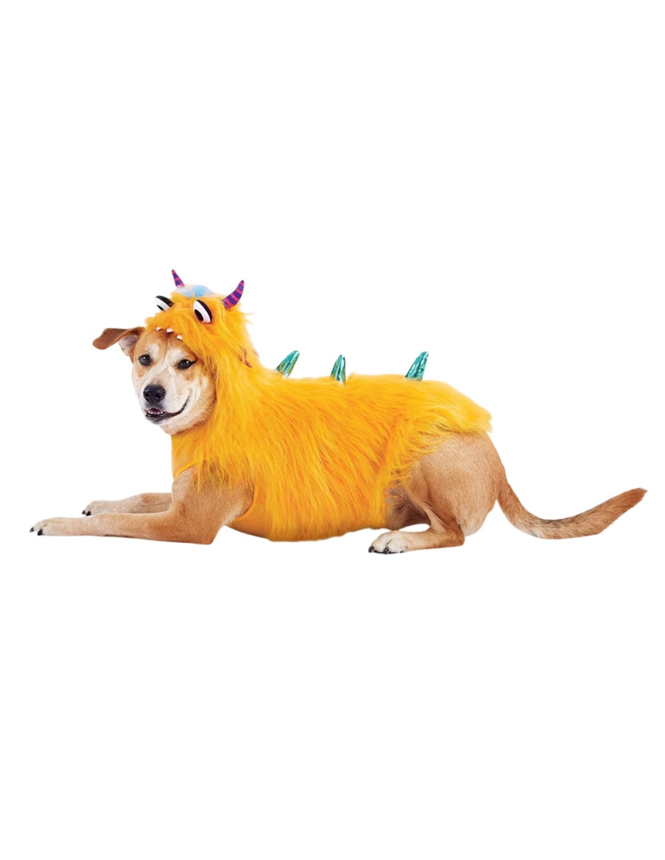 Disfraz para perro monstruo ideen Disfraz para perro monstruo ideen
