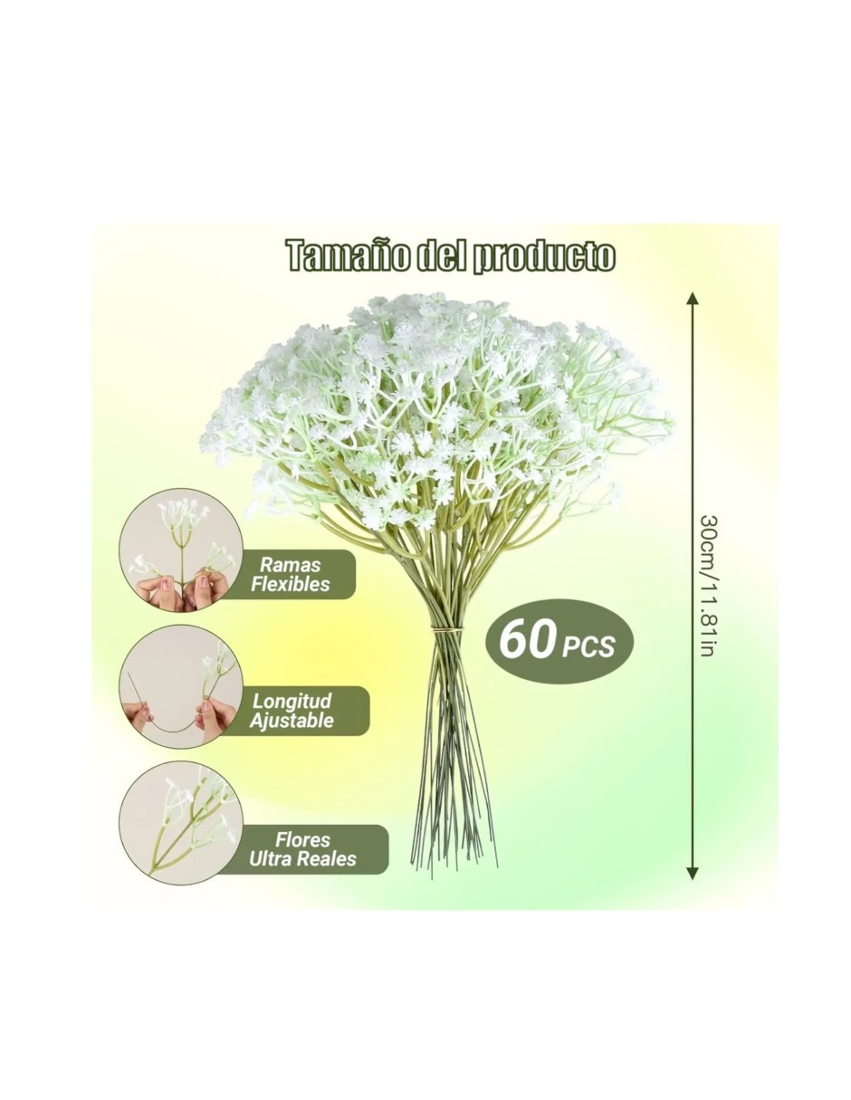 Flor de acacia 3