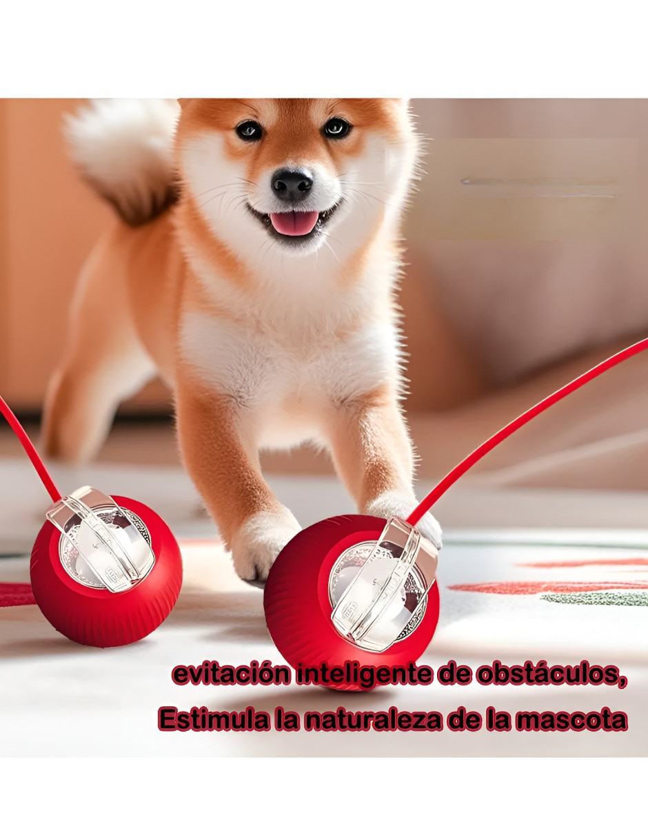 Juguete mecánico para mascota para gato 2