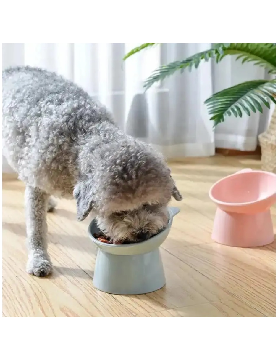 Set comedor para mascota