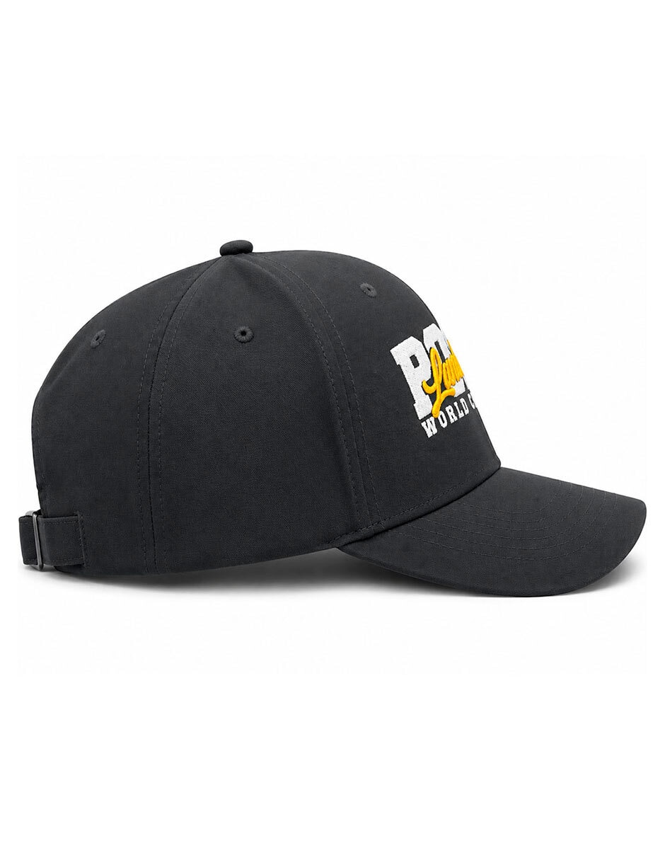 Gorra visera curva velcro casual para hombre 4