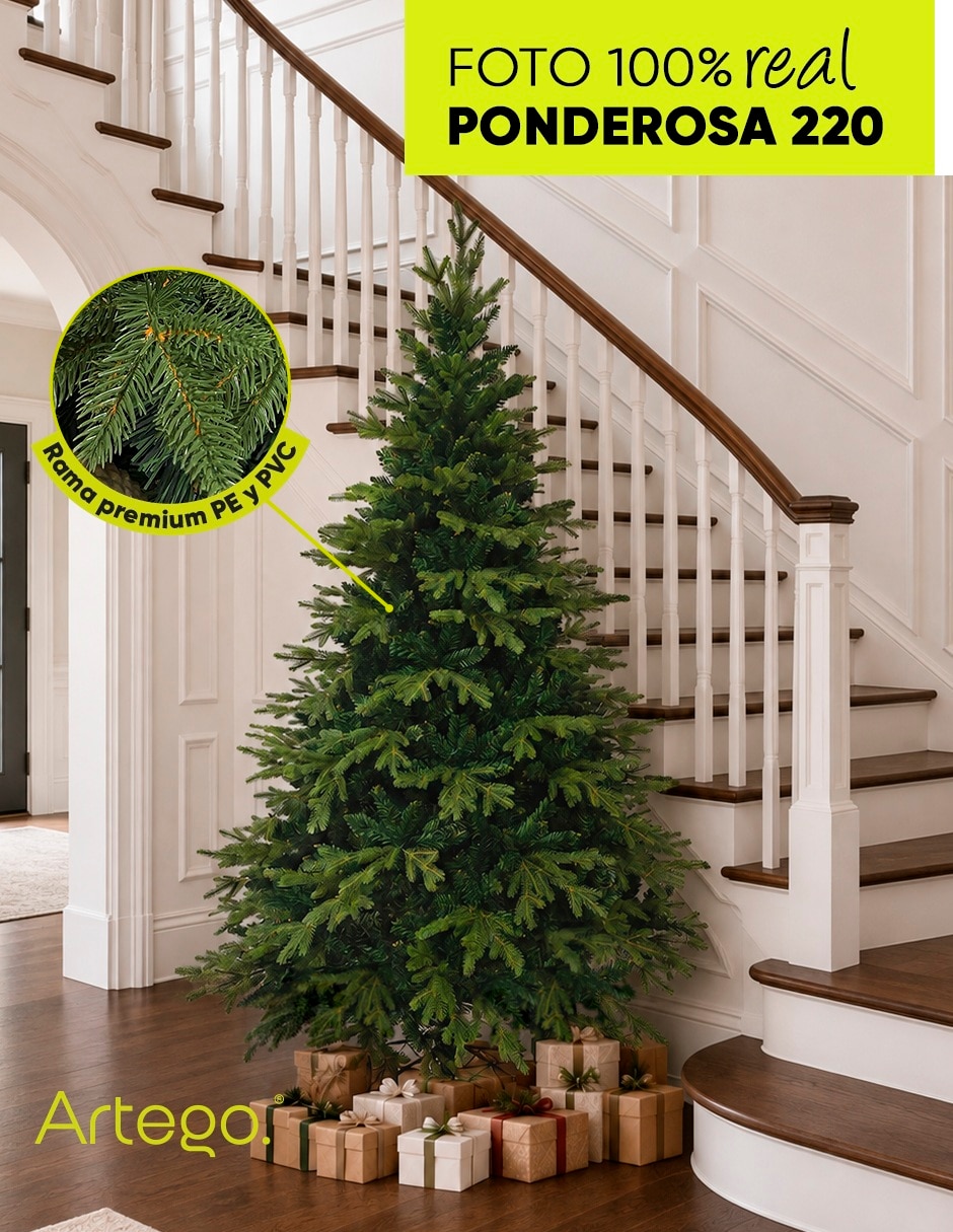 Árbol de navidad Ponderosa Pine Premium 6