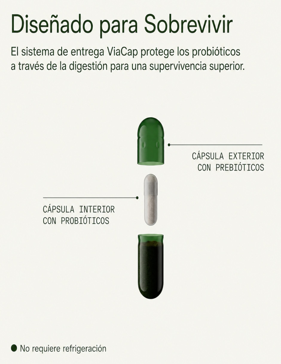 Prebiótico y probiótico Seed de 60 cápsulas