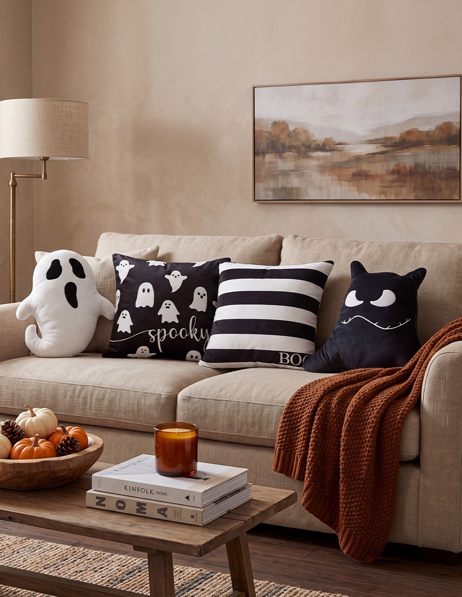 Set de cojín decorativo No aplica 4