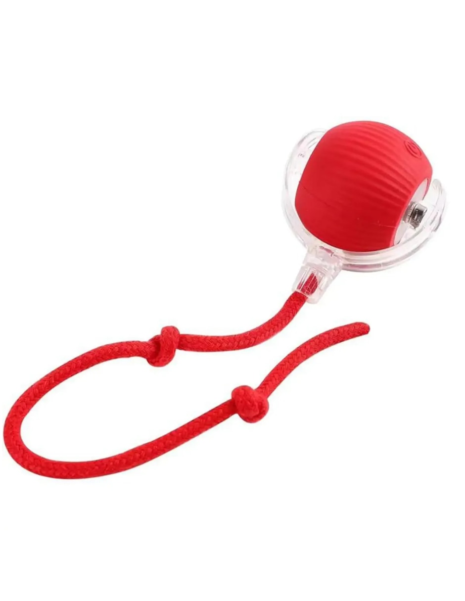 Juguete interactivo para Perro y gato No aplica