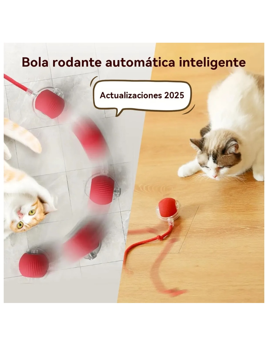 Juguete interactivo para Perro y gato No aplica