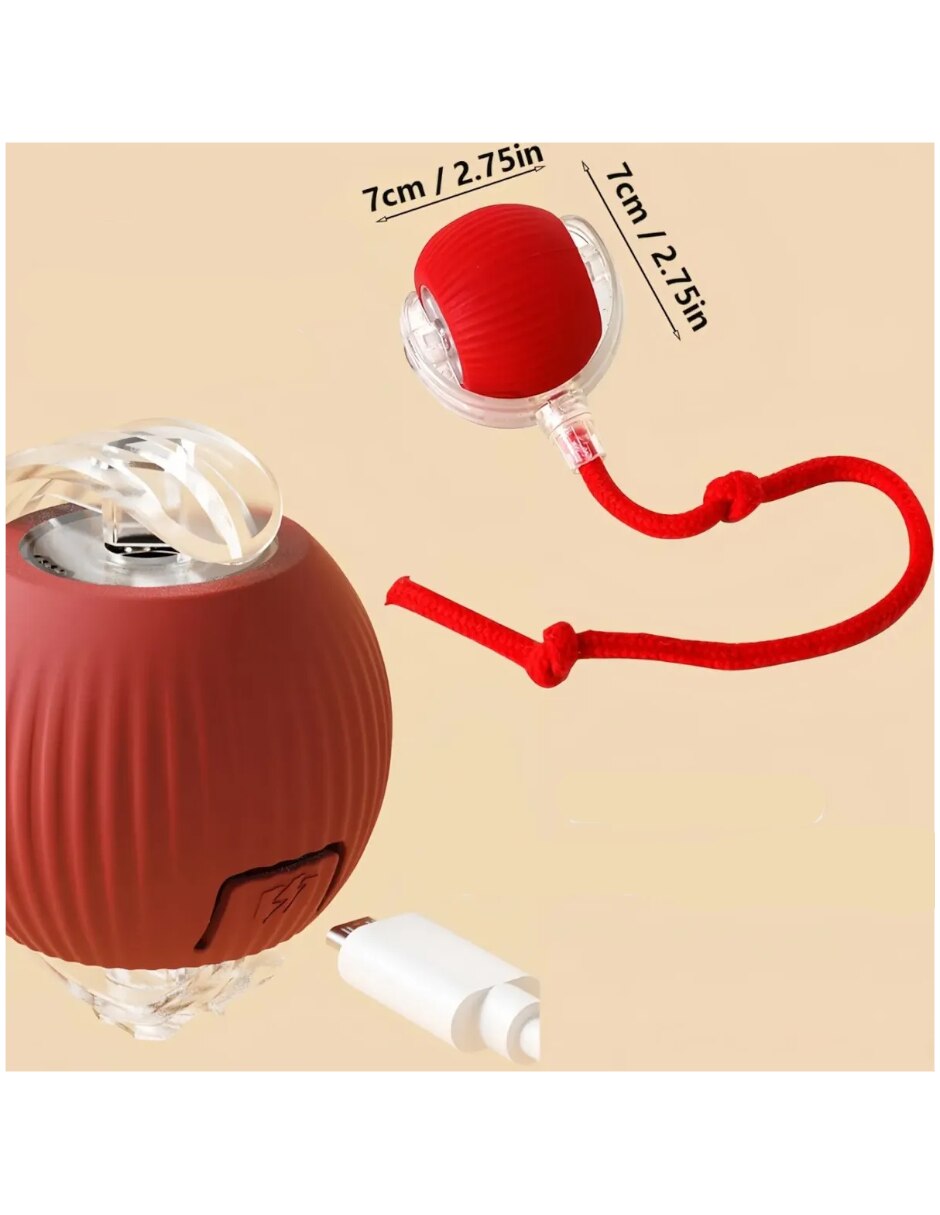 Juguete interactivo para Perro y gato No aplica 5
