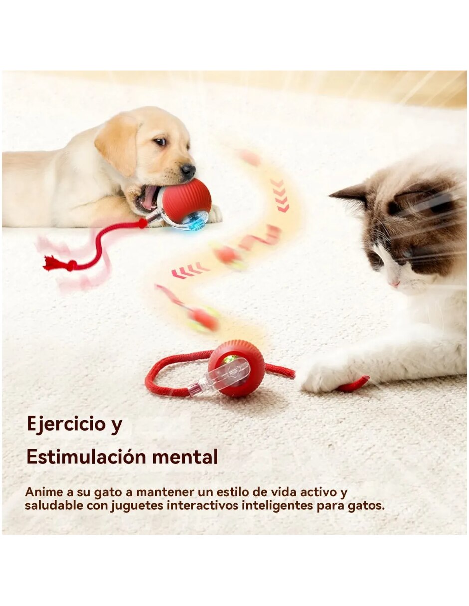 Juguete interactivo para Perro y gato No aplica