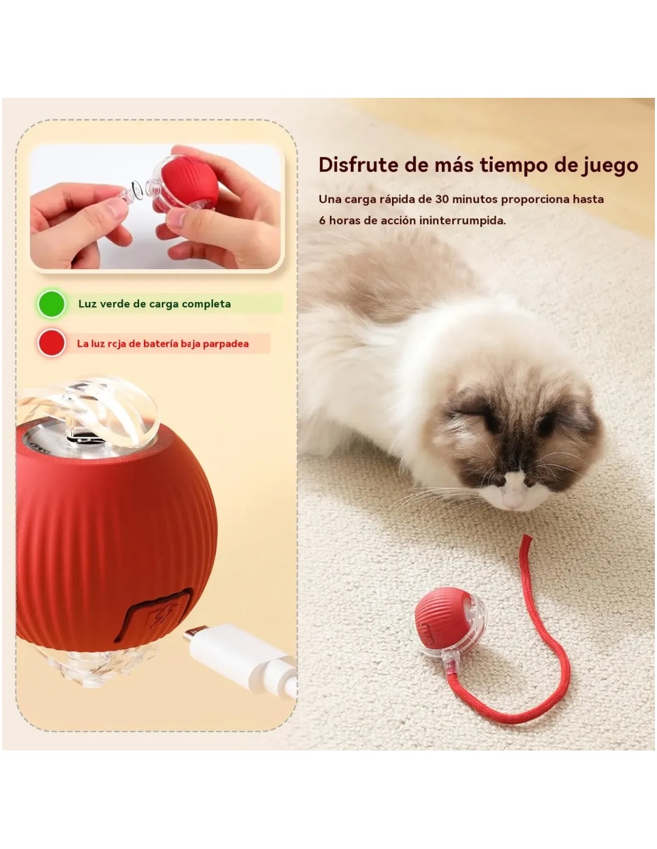 Juguete interactivo para Perro y gato No aplica