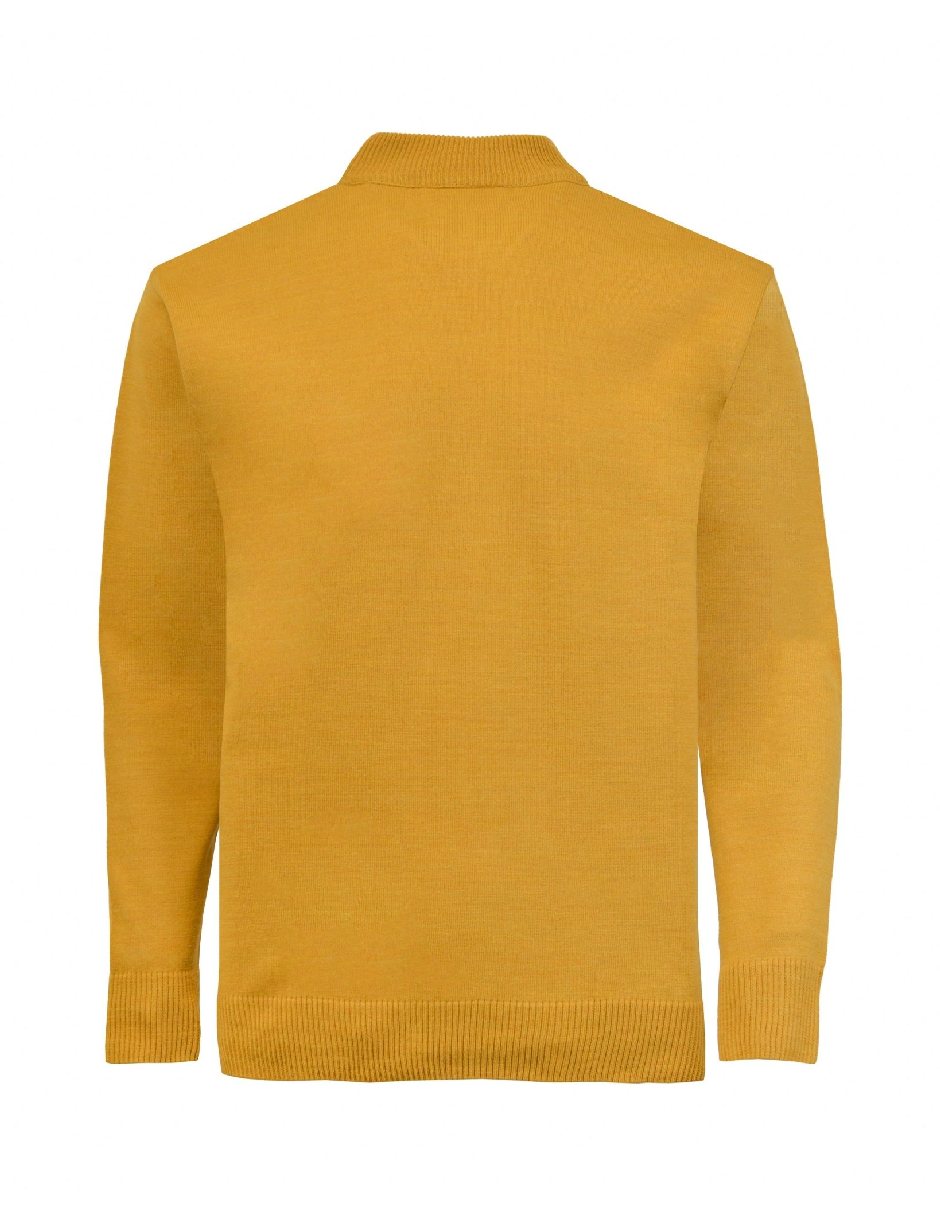 Suéter MANCHESTER cuello Tortuga para hombre 4