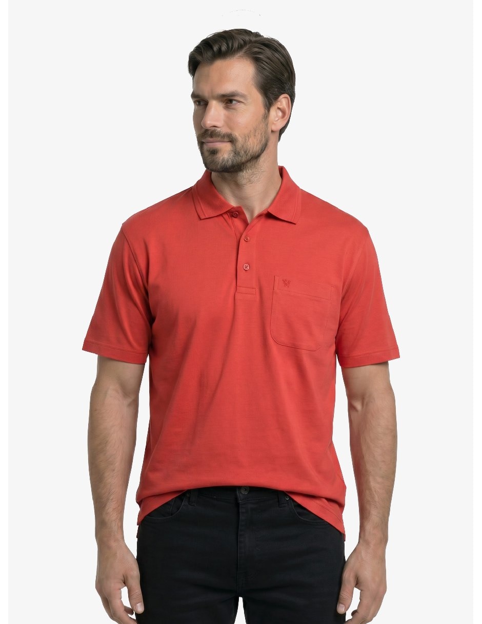 Playera tipo polo para hombre 1
