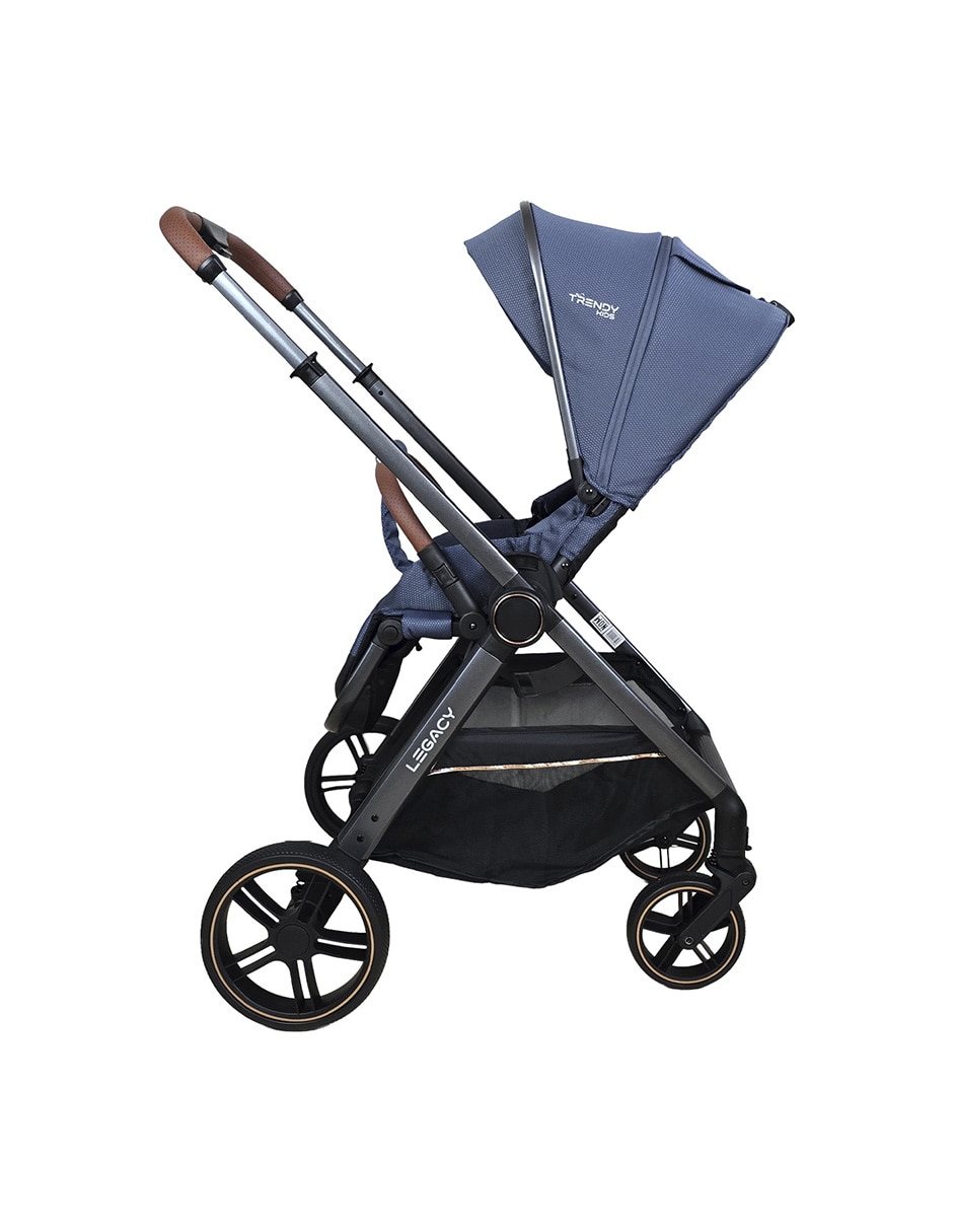 Carriola Estándar Legacy plegable 4