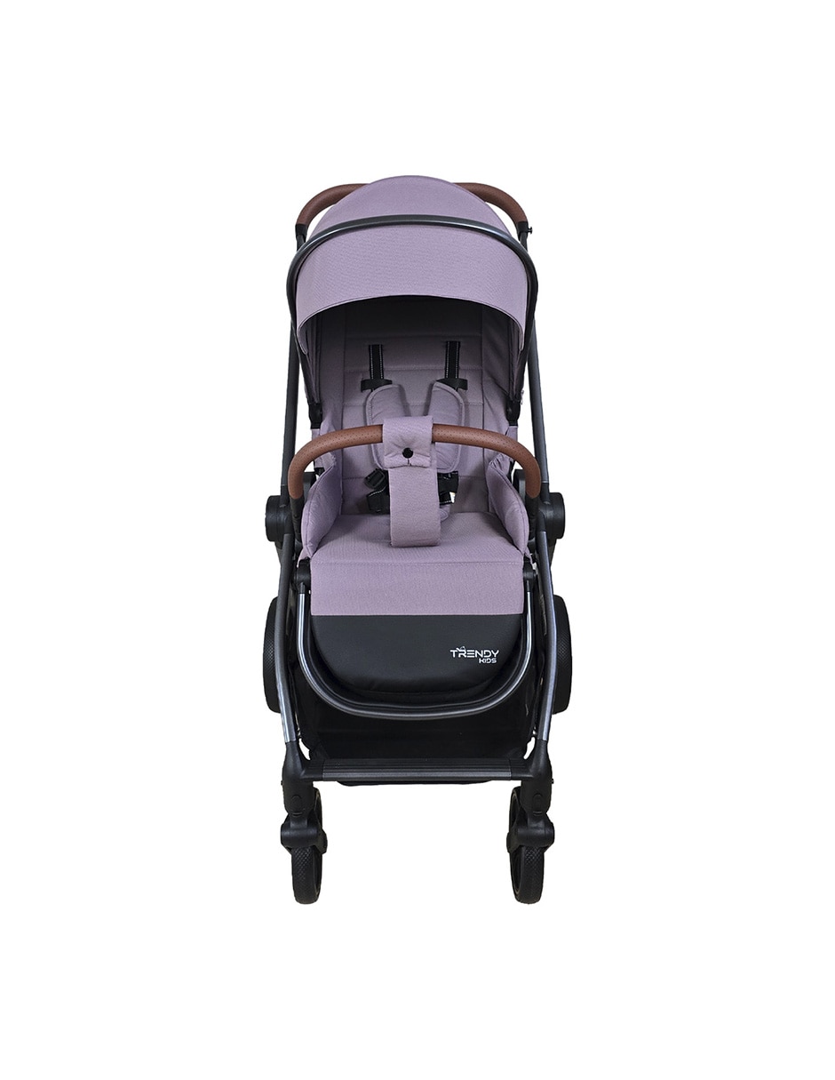 Carriola Estándar Legacy plegable 4