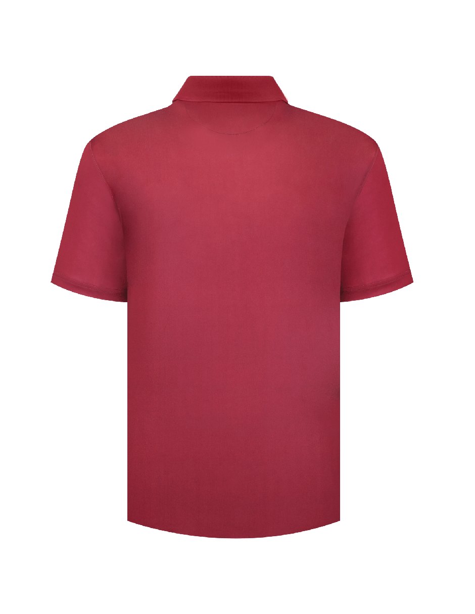 Playera tipo polo para hombre 4