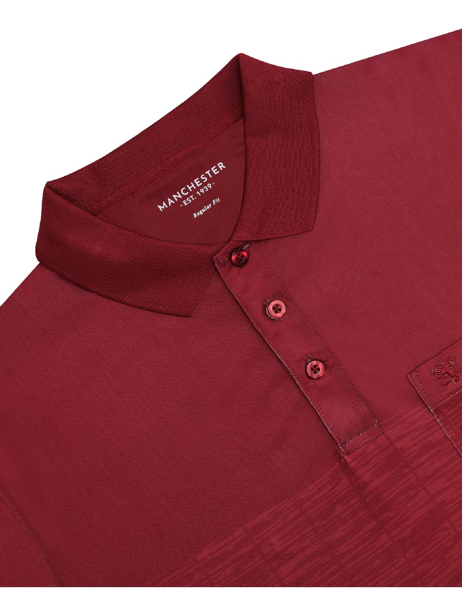 Playera tipo polo para hombre 2