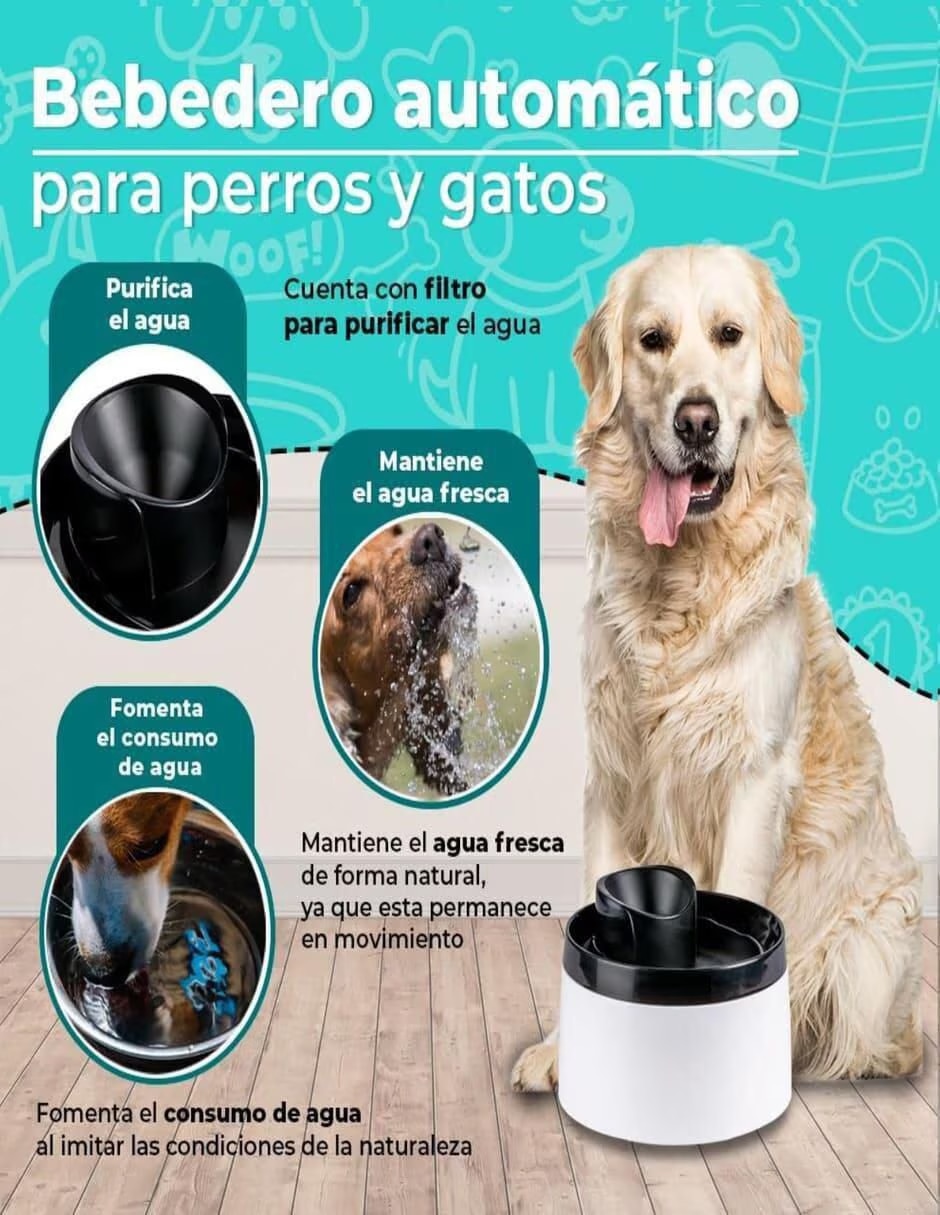 Bebedero Transparente para perro