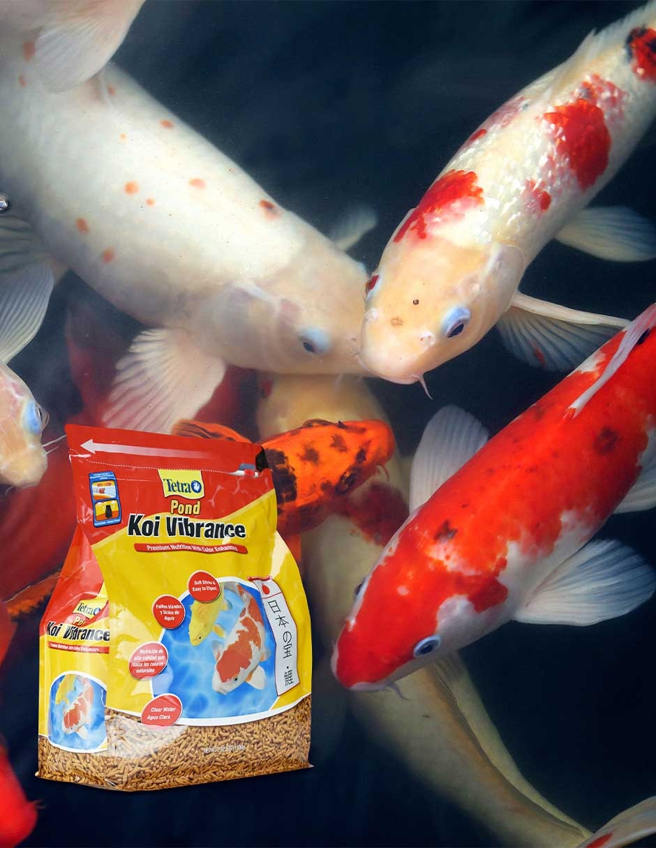 Hojuelas Tetra de verduras mixtas para peces etapa todas las etapas 2
