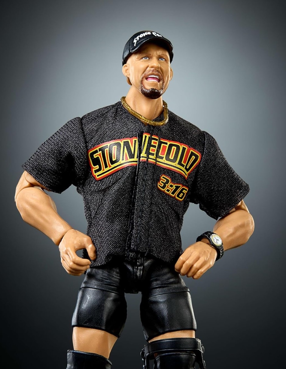 Figura de acción articulada wwe luchador estándar con movimiento