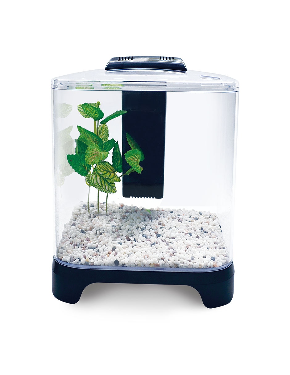 Pecera de plástico 1.8 litros Lomas 4