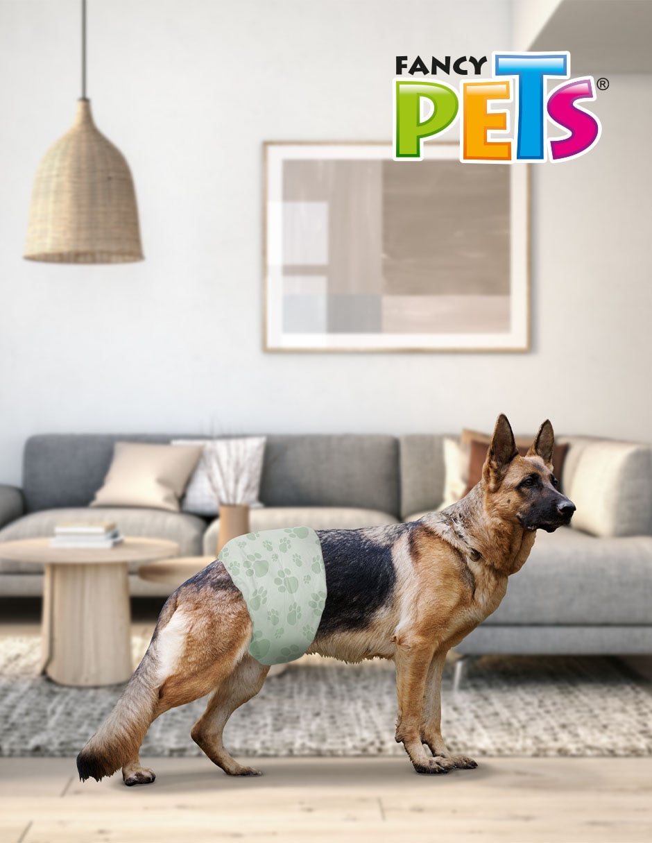 Pañales para 2