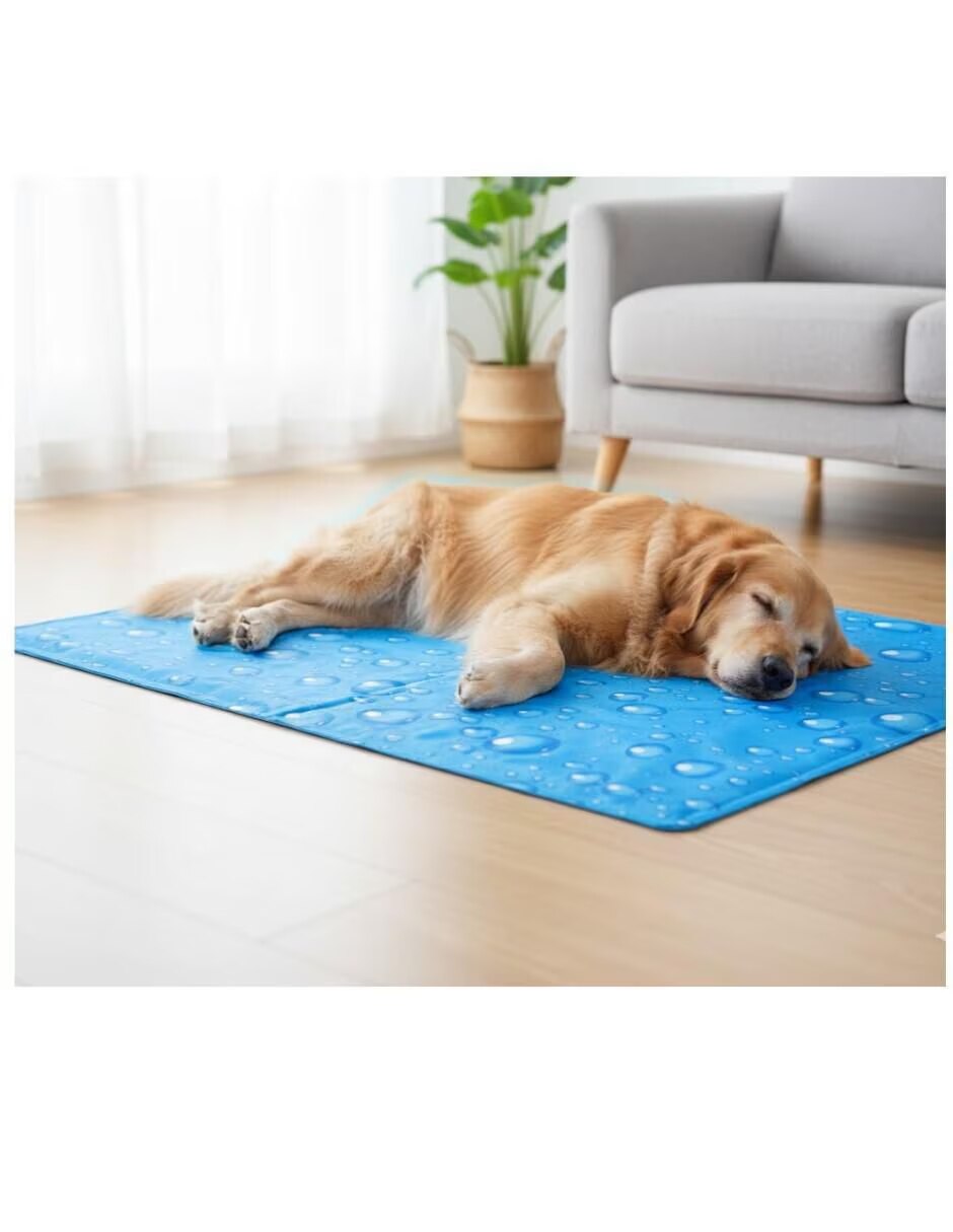 Tapete para mascota para Perro