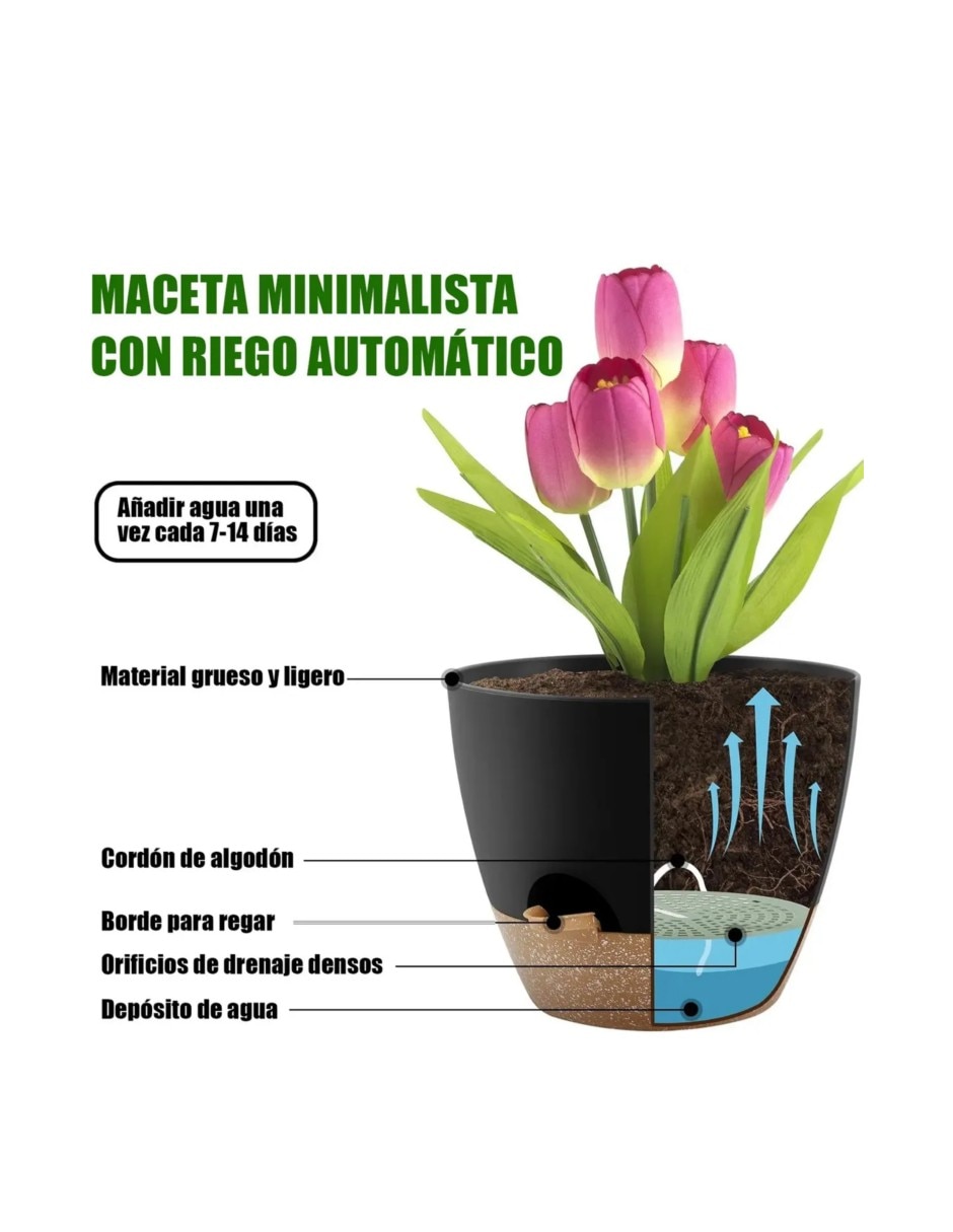 Maceta de Arcilla con sistema automático de riego 4